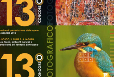 13° Concorso fotografico “IL BOSCO, IL FIUME E LA LAGUNA” – Scadenza 15 Gennaio 2015