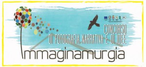 immaginamurgia