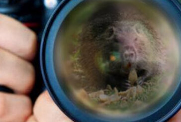 Concorso fotografico Nazionale La Nutria in un click – Scadenza 15 Ottobre 2014