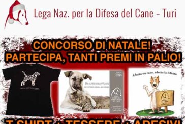 Concorso fotografico della Lega del Cane sez. di Turi – Scadenza 20 Dicembre 2014