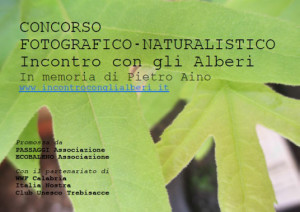 Incontro con gli Alberi