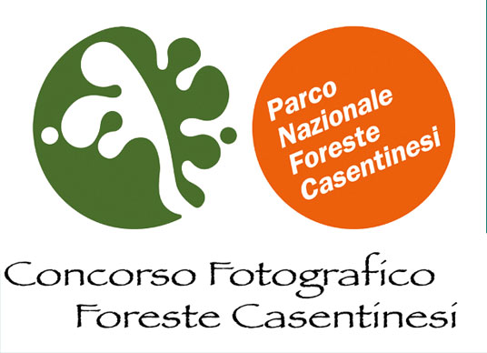 concorso fotografico parco nazionale foreste casentinesi