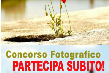 Concorso Fotografico Fior di Città 2015 – Scadenza 05 Aprile 2015