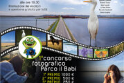 Concorso Fotografico Ecosistema Risaia – Scadenza 02 Giugno 2015 *Leggere il regolamento