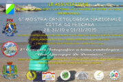 I° Concorso fotografico a tema ornitologia “Avv. Giuseppe De Dominicis” – Scadenza 30 Settembre 2015