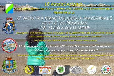 I° Concorso fotografico a tema ornitologia “Avv. Giuseppe De Dominicis” – Scadenza 30 Settembre 2015