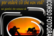 Concorso Fotografico – Ti darei gli occhi miei, per vedere ciò che non vedi – Scadenza 04 Dicembre 2015