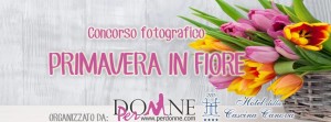 concorso