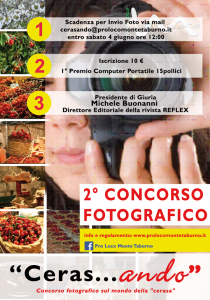 MAnifesto_2015Concorso2-2