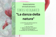 Concorso Fotografico La danza della natura – Scadenza 24 Giugno 2016