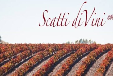 Concorso Fotografico Scatti diVini – Scadenza 15 Novembre 2016