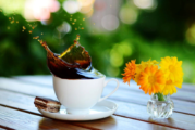 Concorso Fotografico Fiori e Caffè – Scadenza 20 Novembre 2016