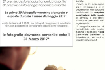 Contest fotografico Avis Dalmine – Scadenza 31 Marzo 2017