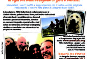 “L’ Allegria ! ! !” in ogni sua manifestazione di gioia e felicità! – Scadenza 05 Settembre 2017