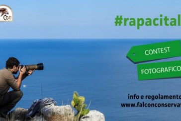Concorso fotografico #Rapacitaliani – Scadenza 13 Gennaio 2018