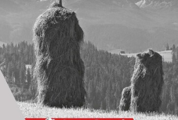 Uomini, boschi e api: la montagna ed il lavoro dell’uomo – Scadenza 30 Settembre 2018