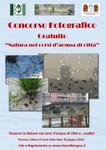 Natura nei corsi d'acqua di città