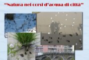 Natura nei corsi d’acqua di città – Scadenza 30 Giugno 2018