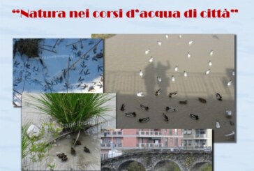 Natura nei corsi d’acqua di città – Scadenza 30 Giugno 2018