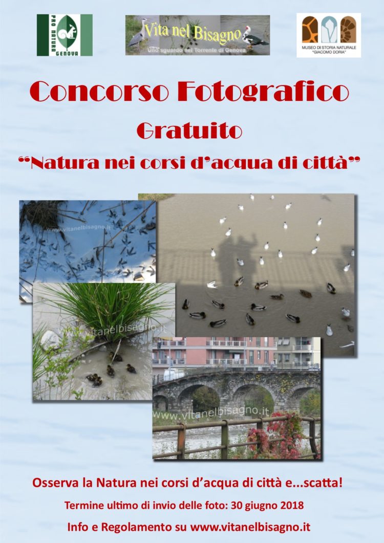 Natura nei corsi d'acqua di città