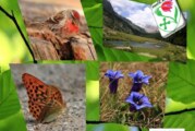 Concorso Fotografico La forza della natura – Scadenza 31 Luglio 2018