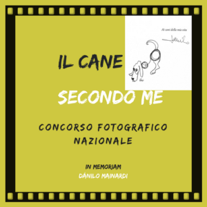 "Il cane secondo me"