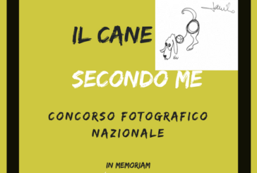 Concorso Fotografico “Il cane secondo me” – Scadenza 30 Settembre 2018