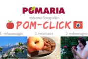 Concorso fotografico POM-CLICK – Scadenza 31 Agosto 2018