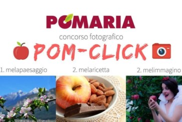 Concorso fotografico POM-CLICK – Scadenza 31 Agosto 2018