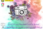 Concorso Fotografico #bionazfiorita – Scadenza 15 Settembre 2018